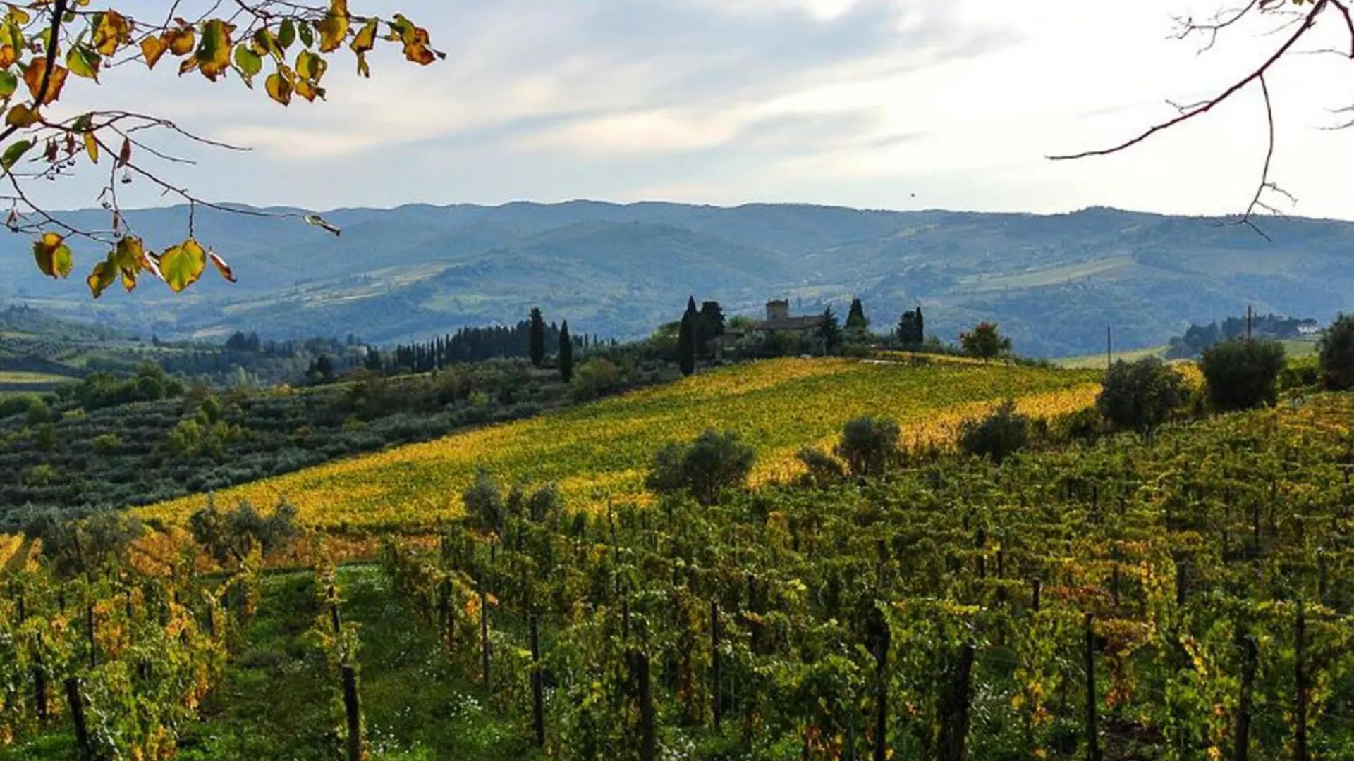 Holiday Home Il Borgo Di Savignola By Interhome Greve in Chianti Italy